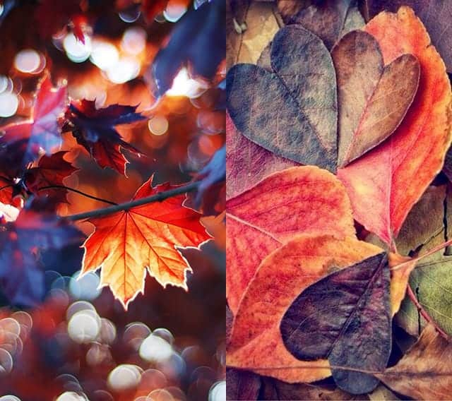 Pinterest Autumn Iphone WallpaperのオススメのiPhone用壁紙2枚