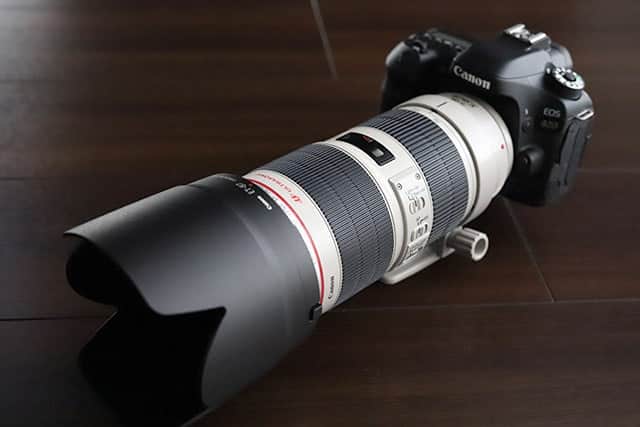 Canon EF70-200mm F2.8L II 購入！重いけど素晴らしい描写力の望遠