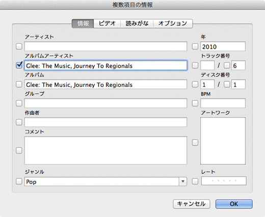 アルバムアーティストの項目に情報を追加します。