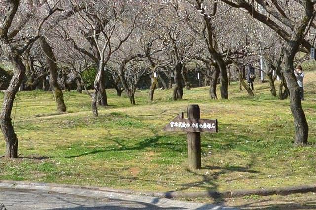 梅林公園内の案内看板　宮本武蔵ゆかりの座禅石
