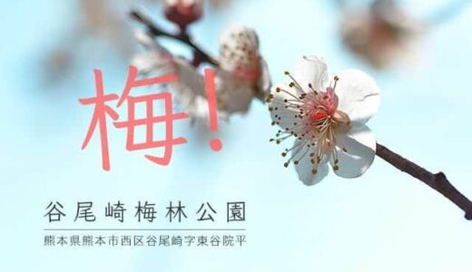 宮本武蔵ゆかりの座禅石がある熊本の梅の名所「谷尾崎梅林公園」は心が和む梅の楽園でした。