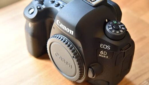 Canon EOS 6D Mark II 購入レビュー！マウントをニコンからキヤノンに乗り換え。ファイルサイズが半分以下に！