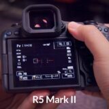 EOS R5 Mark II AFフレームの枠 動作確認中