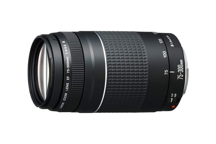 EF75-300mm F4-5.6 III